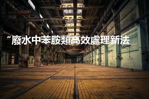 “廢水中苯胺類高效處理新法，環(huán)保先鋒引領(lǐng)綠色以后”